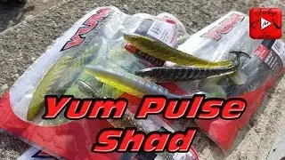 Pr&eacute;sentation leurre+nage : YUM PULSE SHAD NOUVEAUT&Eacute; 2017