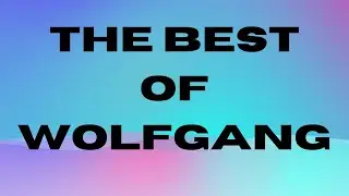THE BEST OF WOLFGANG - A PLAYLIST#new