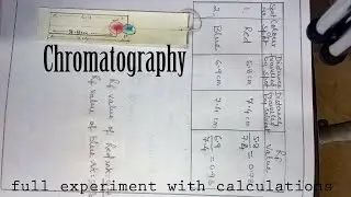 Chromatography । class 12 chemistry practical