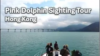 [HD] Pink dolphin watching tour 2024 - Hong Kong vlog (Klook tour video review with URL)