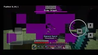 I beat the ender dragon! #minecraft