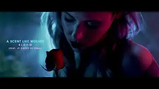 A Scent Like Wolves - Bloom (feat. JT Cavey of ERRA) (OFFICIAL MUSIC VIDEO)