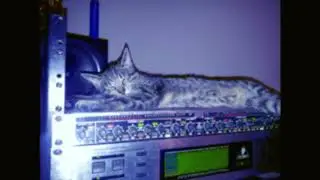 Enpro - Get off my bed