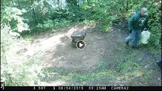 Bear Hunters Tampering With Cameras Monitoring Wolf Caution Area