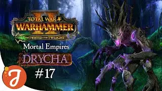 Evicting Finubar | Drycha #17 | Total War: WARHAMMER II - Twisted & The Twilight