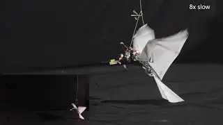 Flapping-wing robot achieves bird-style self-takeoff
