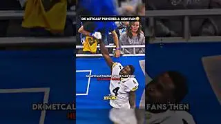 DK Metcalf Punched a FAN 😭🙏#shorts #nfl