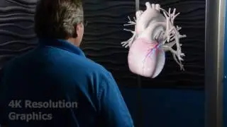 Teleportel Europe - Holographic Teleportation