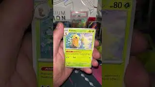 Pok&eacute;mon Charizard SIR Hunting! Pack17 #pokemon #charizard