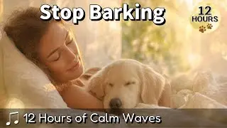 🌊 Stop Dog Barking &ndash; 12 Hours of Calming Ocean Waves & Ambient Music for Anxious Dogs