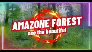 AMAZONE FOREST#forest #amazone