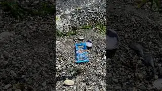 Opening a Metazoo pack with a sea shell
