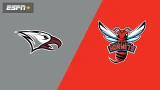 2025 MEAC Men's Basketball Tournament Quarterfinal North Carolina Central vs Delaware State
