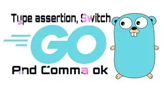 Type assertion, comma ok syntax and switch | Go language