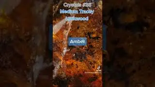 Some Properties of Amber...