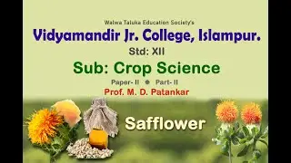 Safflower (Part-II)