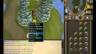 Woodcutting while Firemaking | Bonfires update | Joep