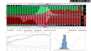 SPX Options Premium / Volume Profile - 12/24/25