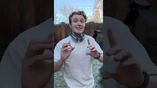 AirPods Max - идеальны в холода