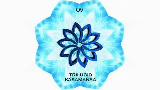 Trilucid - Kasamansa