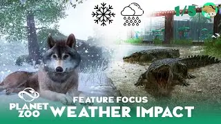 Feature Focus (1/5): Weather impact in Planet Zoo (clothes, hot drinks, nutrition)