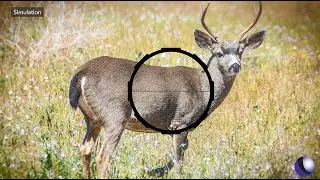 *NEW* Long Range Riflescopes from Crimson Trace | Guns & Gear S11