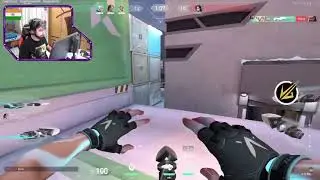 VLT EupHorIa ACE with Jett
