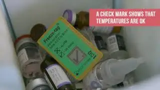 How to Read an Electronic Freeze Indicator
