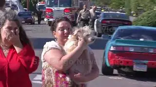 Shots fired, house set on fire and dog rescued during standoff with man, Poway