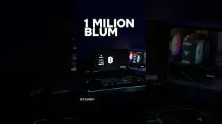 1 МЛН BLUM. У кого сколько? #blum #криптовалюта #крипта
