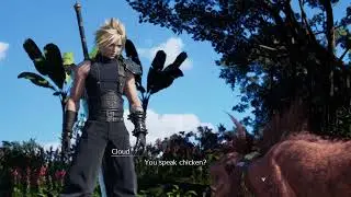 FF VII Rebirth / Player: Wolfykin #107