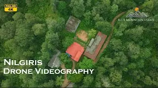 நீலகிரி Drone Video | Coffee Estate | Blue Mountain Estate | #nilgiris  #droneshots  4K
