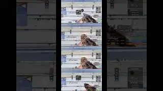 Cheapest Way to Raid Garage Door
