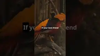 Lost & Found Friend: A Magical Island Adventure | AI generated Short video