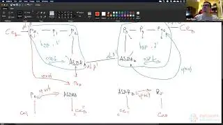 17. MPLS : Inter-AS L3 VPN, Option A (Part 1)