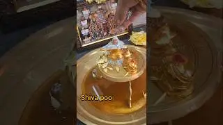 48 days of Shiva poojai day 23 #omnamahshivaya #sivaya #shivapooja #shivaynamah #shivalingampoojai