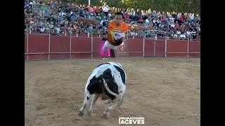 Boadilla del Monte (05-10-25) - Concurso de Recortes Libre con Toros