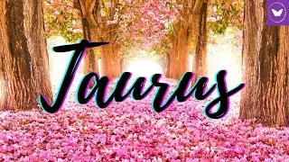 Taurus unexpected conversation determines your future love! 💖 October 2021 Love Tarot Reading