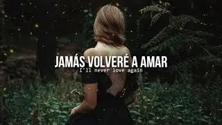I'll never love again • Lady Gaga | Letra en español / inglés