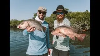 Top Water Jacks - (ловля мангровых ставрид)