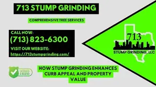 How Stump Grinding Enhances Curb Appeal and Property Value