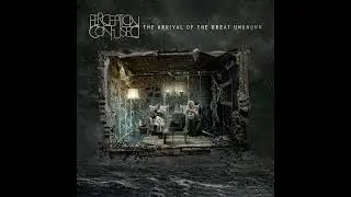 PERCEPTION CONFUSED - UNCERTAIN DECISION