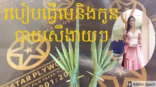 របៀបធ្វើបាយសីងាយៗ