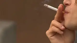 The 