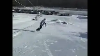 Wild - Bunny Hill Fun