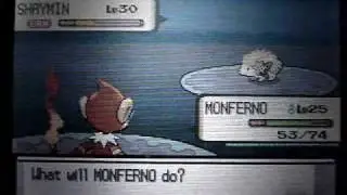 Catching Shaymin - Without Action Replay - Tweaking Glitch