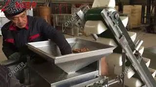 Small Hazelnut Cracking Drying Machine|Commercial Chestnut Shelling Processing Equipment Plant