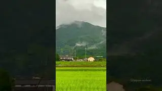 Amazing place