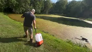 How to Get Rid of Algae in a Pond - Pond & Lake Algae Control