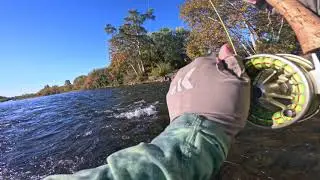 Fly Fishing a Northern California River in October